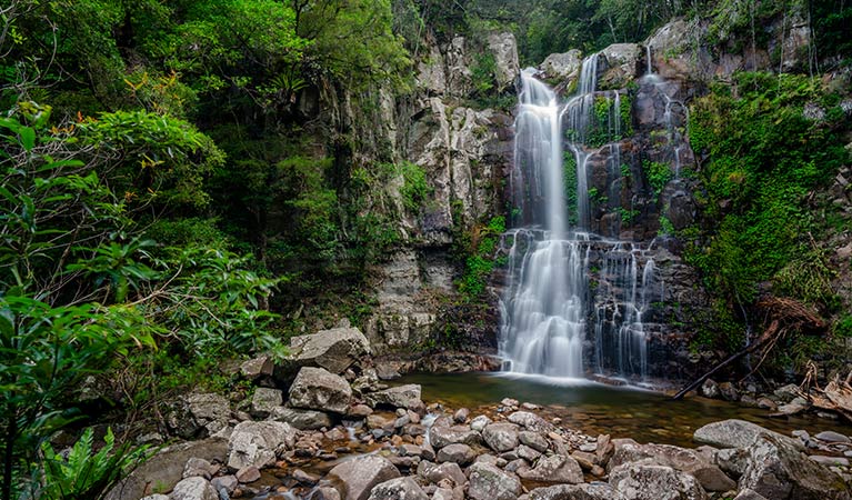 View of lower Minnamurra Falls in Budderoo National Park. Photo credit: John Spencer &copy; DPIE