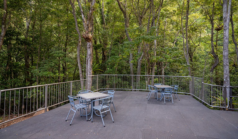 An open outdoor area with tables and chairs, surrounded by rainforest at Minnamurra Rainforest Centre in Budderoo National Park. Photo: John Spencer &copy; DPIE