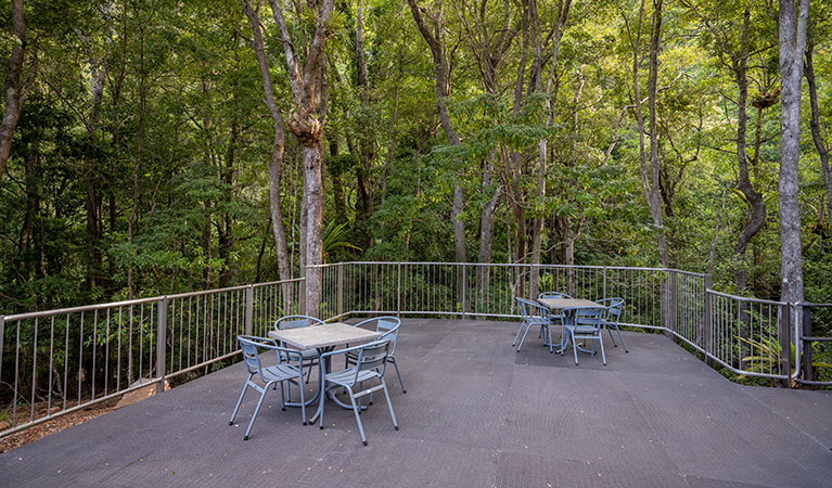 An open outdoor area with tables and chairs, surrounded by rainforest at Minnamurra Rainforest Centre in Budderoo National Park. Photo: John Spencer &copy; DPIE