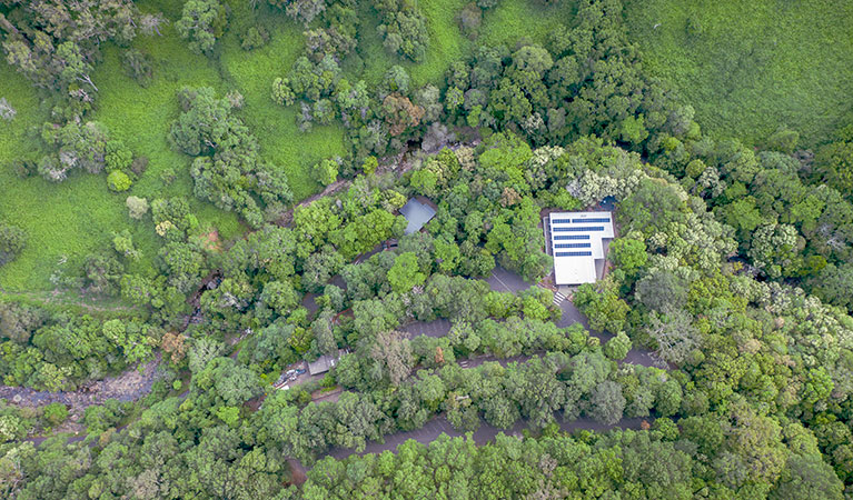 Aerial shot of the top of Minnamurra Rainforest Centre surrounded by rainforest in Budderoo National Park. Photo: John Spencer &copy; DPIE