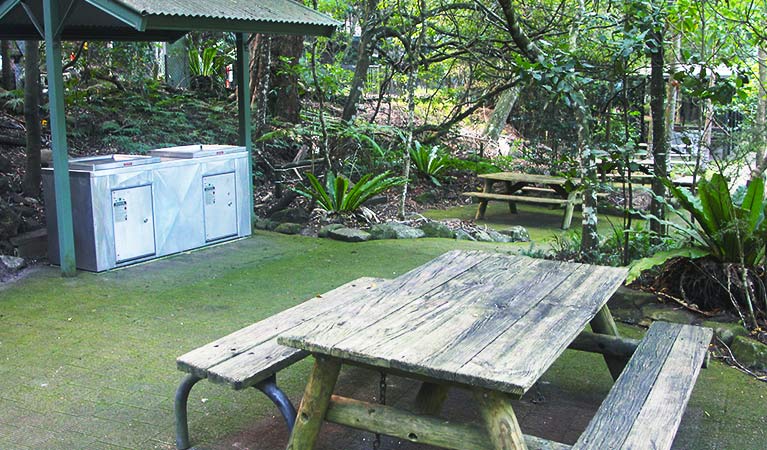 Picnic table on paved area with covered gas barbecues, in a rainforest setting of ferns and trees. Photo credit: Geoff Saunders &copy; DPIE