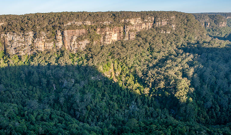 Valley views from Missingham lookout track, Budderoo National Park. Photo credit: Michael Van Ewijk &copy; DPIE