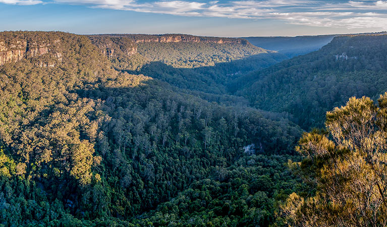 Valley views from Missingham lookout track in Budderoo National Park. Photo: Michael Van Ewijk &copy; DPIE