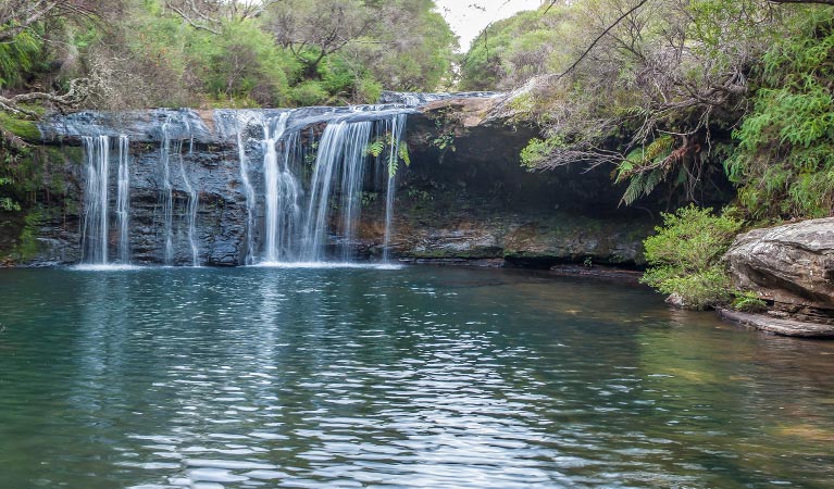 Nellies Glen waterfall, Budderoo National Park. Photo credit: Michael Van Ewijk &copy; DPIE