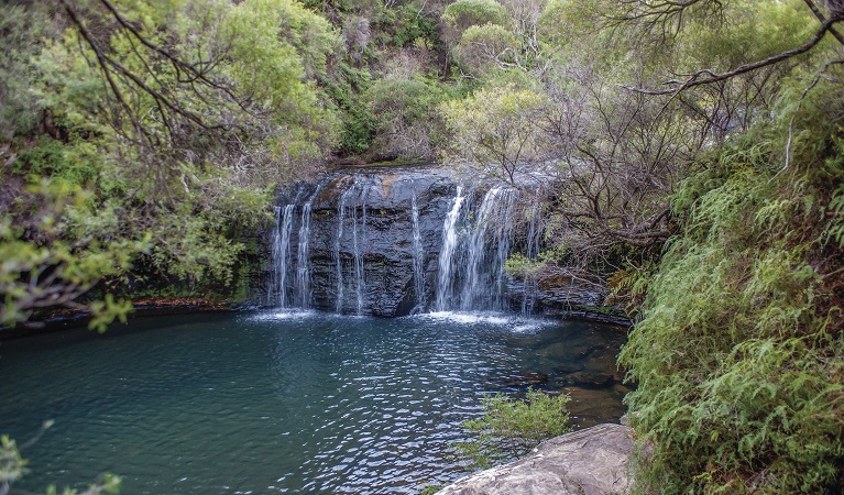 View of Nellies Glen waterfall in Budderoo National Park. Photo: Michael Van Ewijk &copy; DPIE