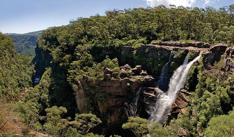 View of Carrington Falls waterfall in Budderoo National Park. Photo credit: Michael Van Ewijk &copy; DPIE