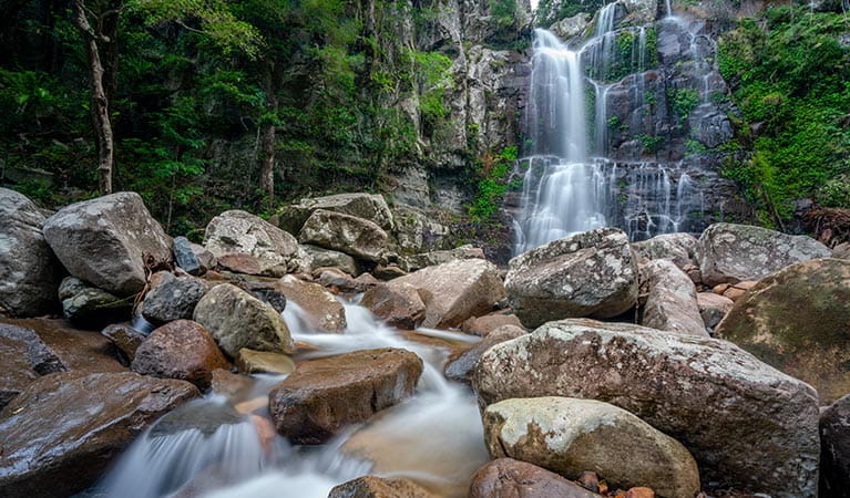 Water rushes over rocks below Minnamurra Falls in Budderoo National Park. Photo credit: John Spencer &copy; DPIE