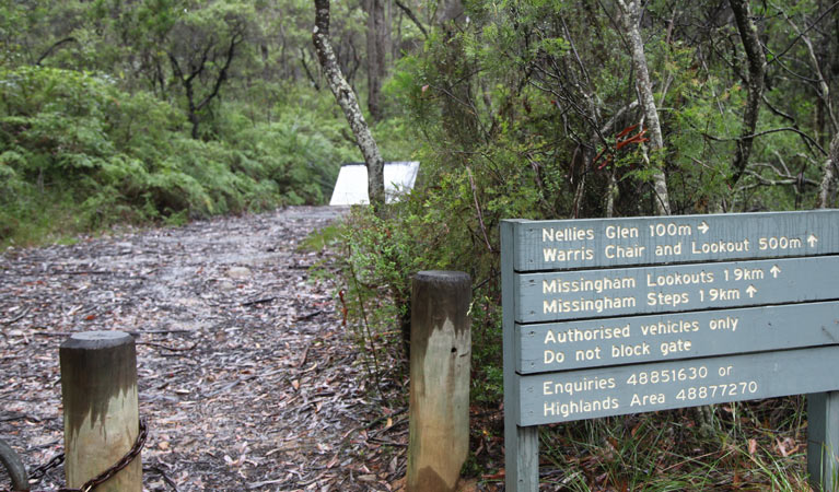 Warris Chair lookout walking track, Budderoo National Park. Photo credit: Andrew Richards &copy; Andrew Richards