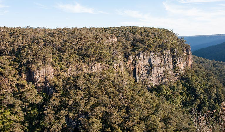 Warris Chair lookout walking track, Budderoo National Park. Photo credit: Michael Van Ewijk &copy; OEH