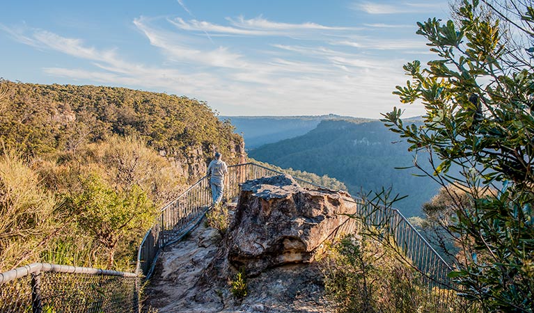 Warris Chair lookout walking track, Budderoo National Park. Photo credit: Michael Van Ewijk &copy; OEH