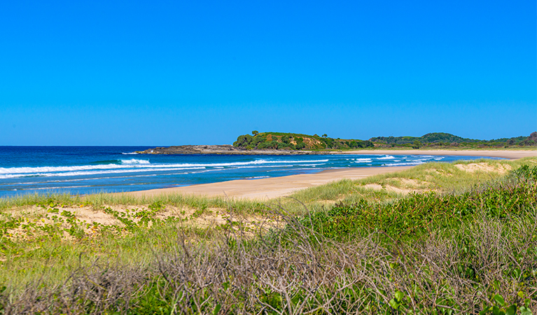 View of surf and rocky headland over beach and dune vegetation.  Photo: Jessica Robertson/OEH.