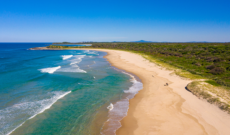 Aerial view of Back Beach surf, sand and coastal vegetation, with headland in the distance. Photo: Jessica Robertson/OEH.