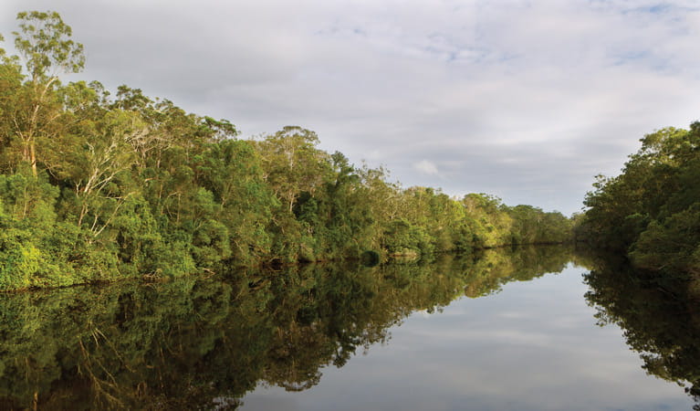 Esk River paddle route, Bundjalung National Park. Photo &copy; Rob Cleary