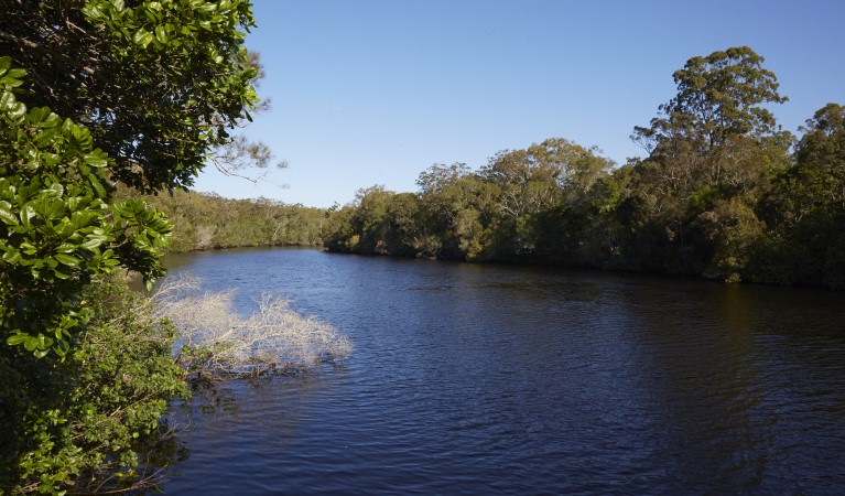 Esk River in Bundjalung National Park. Photo: Nick Cubbin &copy; OEH