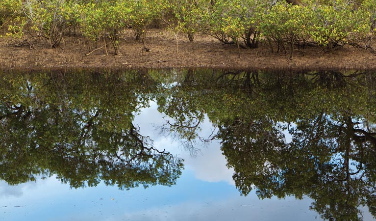 Evans River paddle route, Bundjalung National Park. Photo &copy; Rob Cleary