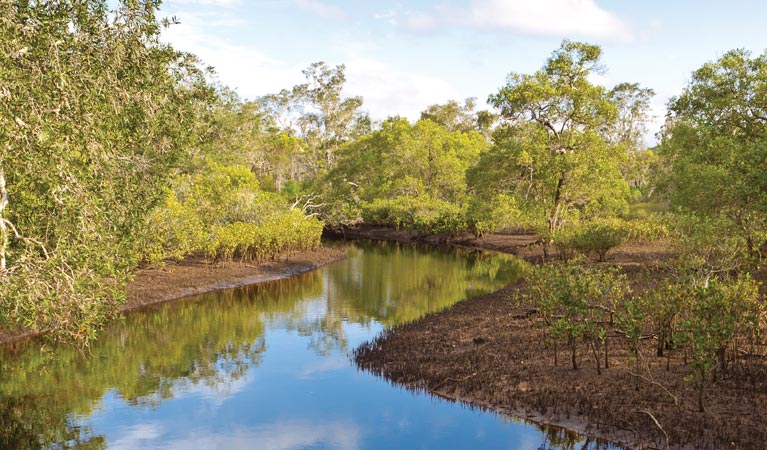 Evans River paddle route, Bundjalung National Park. Photo &copy; Rob Cleary