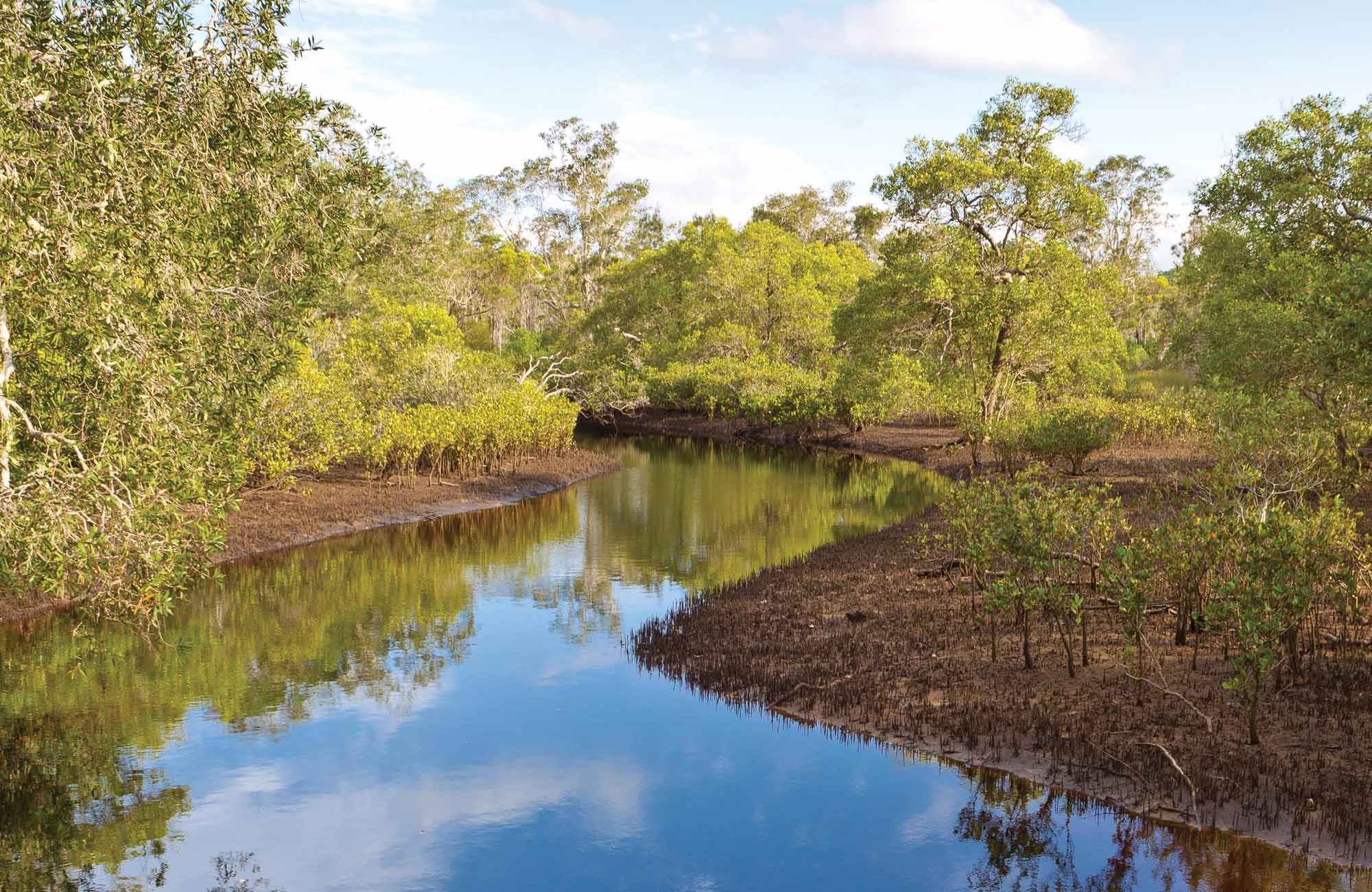 Evans River paddle route, Bundjalung National Park. Photo &copy; Rob Cleary