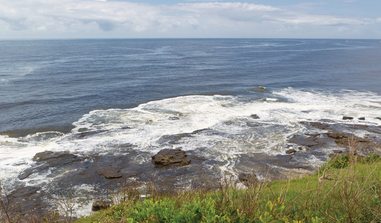 Iluka Bluff lookout, Bundjalung National Park. Photo &copy; Rob Cleary