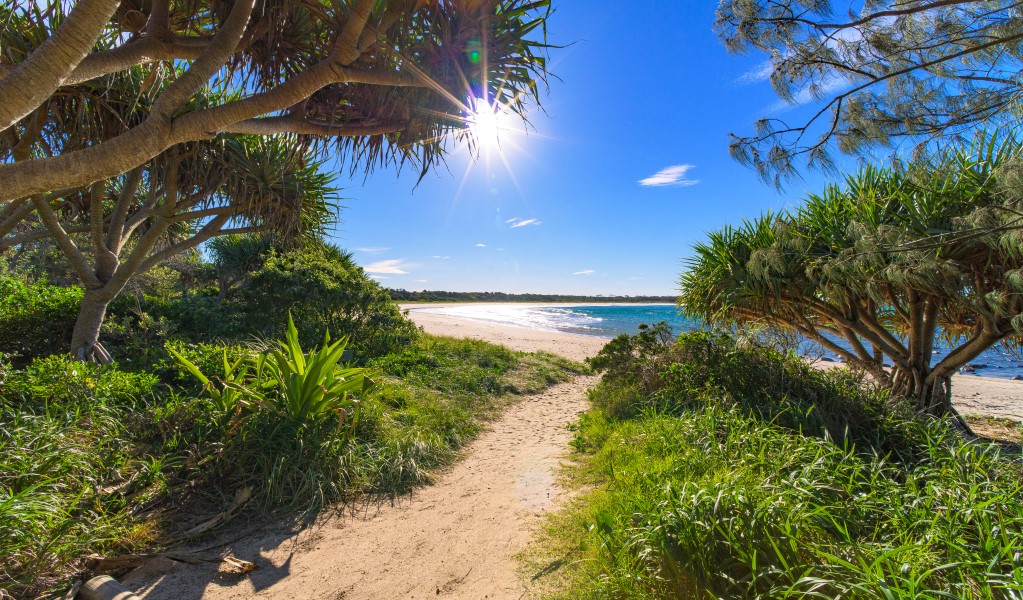 The pathway to Bluff Beach in Bundjalung National Park. Photo: Jessica Robertson &copy; DPIE