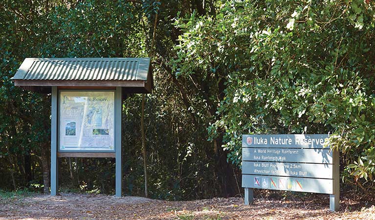 Iluka rainforest walk in Iluka Nature Reserve and Bundjalung National Park. Photo: Nick Cubbin &copy; OEH