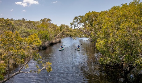 Paddlers make progress along calm Jerusalem Creek, with tea trees lining the banks under a pale blue sky, Bundjalung National Park. Credit: John Spencer/DCCEEW &copy; DCCEEW