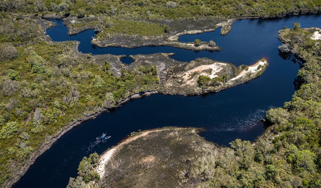 A wider aerial view of Jerusalem Creek, showing distant paddlers and the curves of the creek with a narrower distributary branching off the creek, Bundjalung National Park. Credit: John Spencer/DCCEEW &copy; DCCEEW