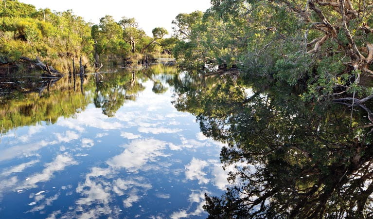 Jerusalem creek, Bundjalung National Park. Photo: Rob Cleary Copyright:Rob Cleary