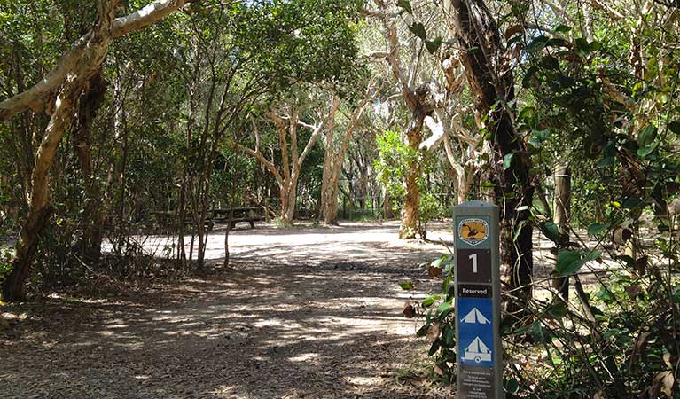 Campsite number 1 at Mibanbah – Black Rocks campground in Bundjalung National Park. Photo: Holly North/OEH