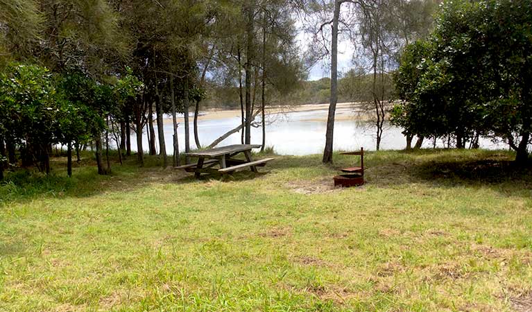 Jerusalem Creek campsite 50, Bundjalung National Park. Photo: Holly North/OEH