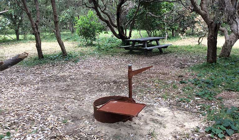 Fire ring at Jerusalem Creek camp site 51, Bundjalung National Park. Photo: Holly North/OEH