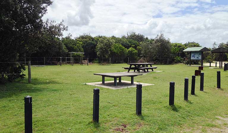 Picnic tables at Black Rocks group site 29. Photo: Holly North/OEH