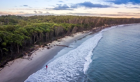 Aerial view of a woman walking along the tree-lined beach near Woody Head campground, Bundjalung National Park. Photo: John Spencer/OEH