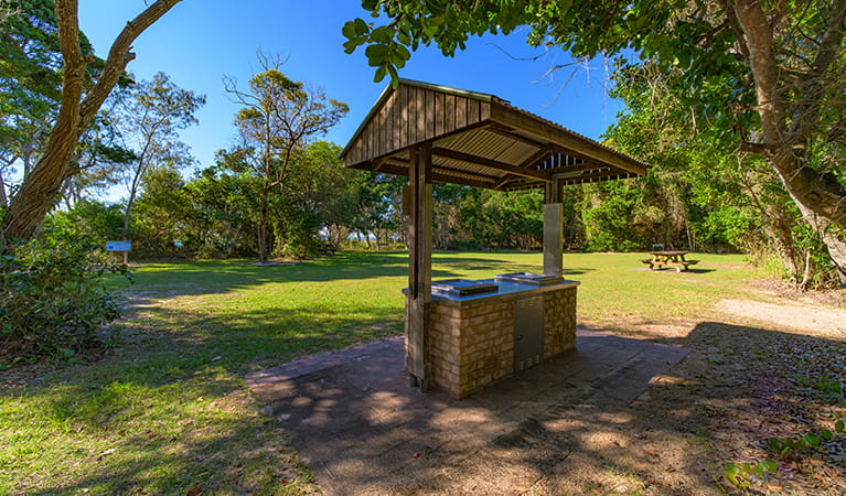 Shark Beach picnic area showing sheltered barbecue, picnic table and grassy area, surrounded by coastal rainforest.  Photo: Jessica Robertson/OEH.