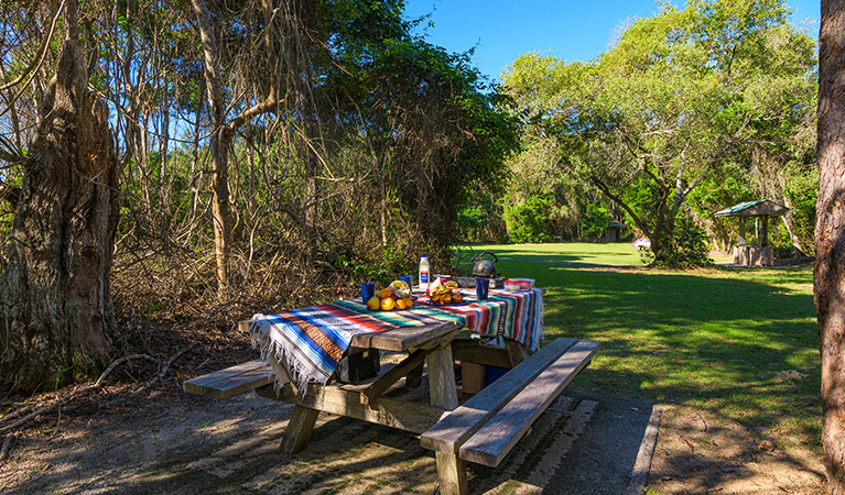 Shark Bay picnic area with shaded picnic table in the foreground. Photo: Jessica Robertson/OEH. 