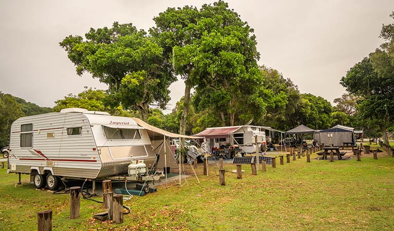 Two caravans set up for a holiday at Woody Head campground, Bundjalung National Park. Photo: John Spencer/OEH