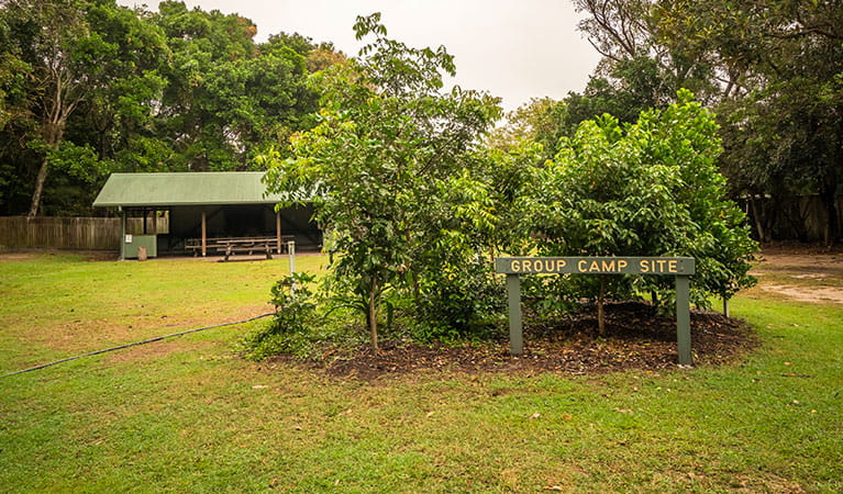 Woody Head Group campsite at Woody Head campground, Bundjalung National Park. Photo: John Spencer/OEH
