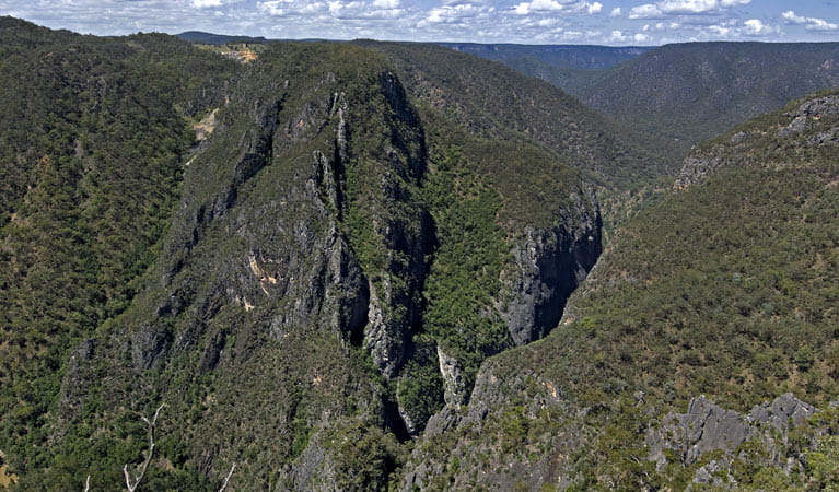 Slot Canyon, Adams Lookout, Bungonia National Park. Photo: Ford Kristo/NSW Government