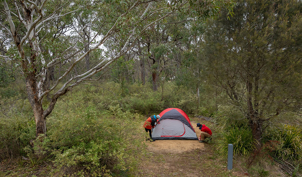 Campers setting up their tent among bushland at Bungonia campground. Photo: John Spencer/DCCEEW &copy; DCCEEW