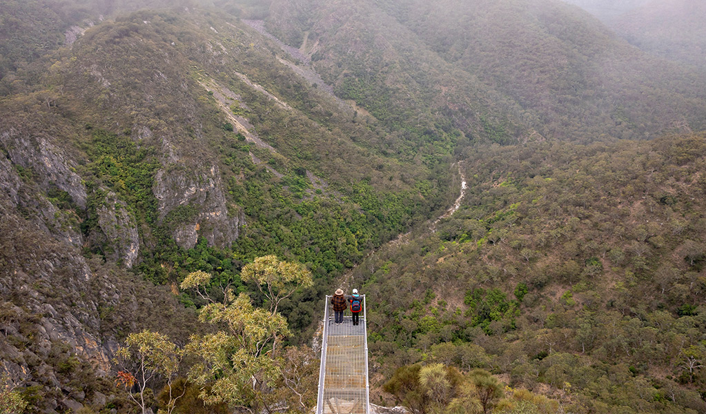 People admiring the views from The Lookdown lookout in Bungonia National Park. Photo: John Spencer/DCCEEW &copy; DCCEEW