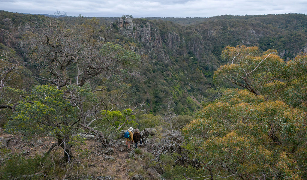 Aerial view of hikers admiring views along Green track. Credit: John Spencer &copy; DCCEEW