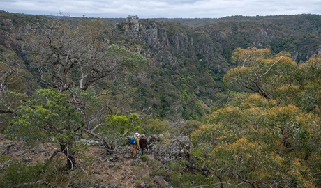 Aerial view of hikers admiring views along Green track. Credit: John Spencer &copy; DCCEEW