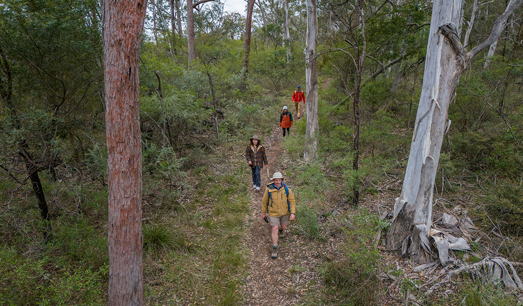 Green Track, Bungonia National Park. Photo &copy; Audrey Kutzner