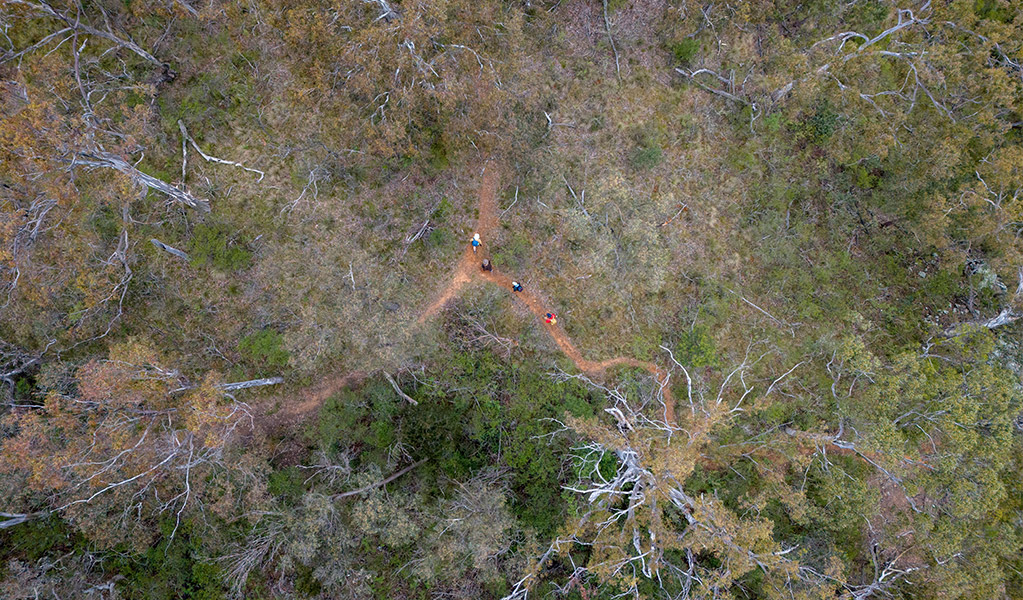 Aerial view of hikers and bushland on Green track. Credit: John Spencer &copy; DCCEEW