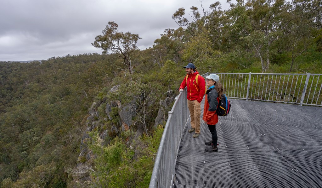 Two people taking in the view from The Lookdown lookout in Bungonia National Park. Photo: John Spencer &copy; DCCEEW