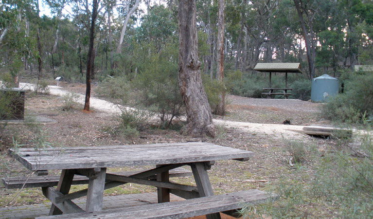 Molly O'Neil Track, Bungonia National Park. Photo &copy; Audrey Kutzner