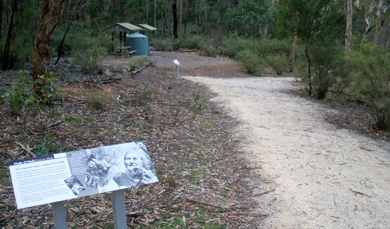 Molly O'Neil Track, Bungonia National Park. Photo &copy; Audrey Kutzner