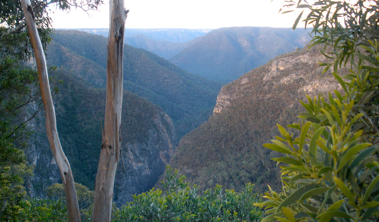 Slot Canyon, Adams Lookout, Bungonia National Park. Photo &copy; Audrey Kutzner