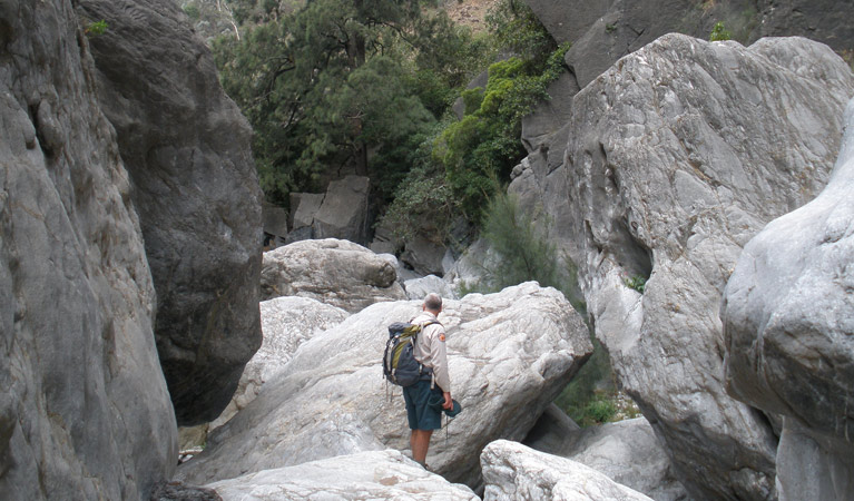 Red Track, Bungonia National Park. Photo &copy; Audrey Kutzner