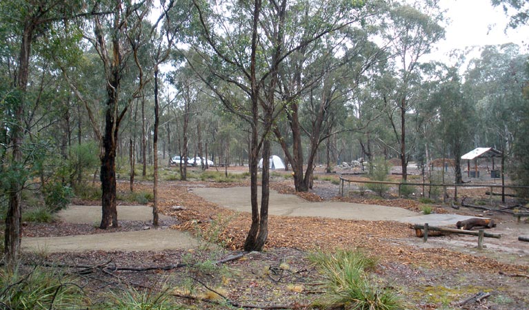 Bungonia Campground, Bungonia National Park. Photo &copy; Audrey Kutzner