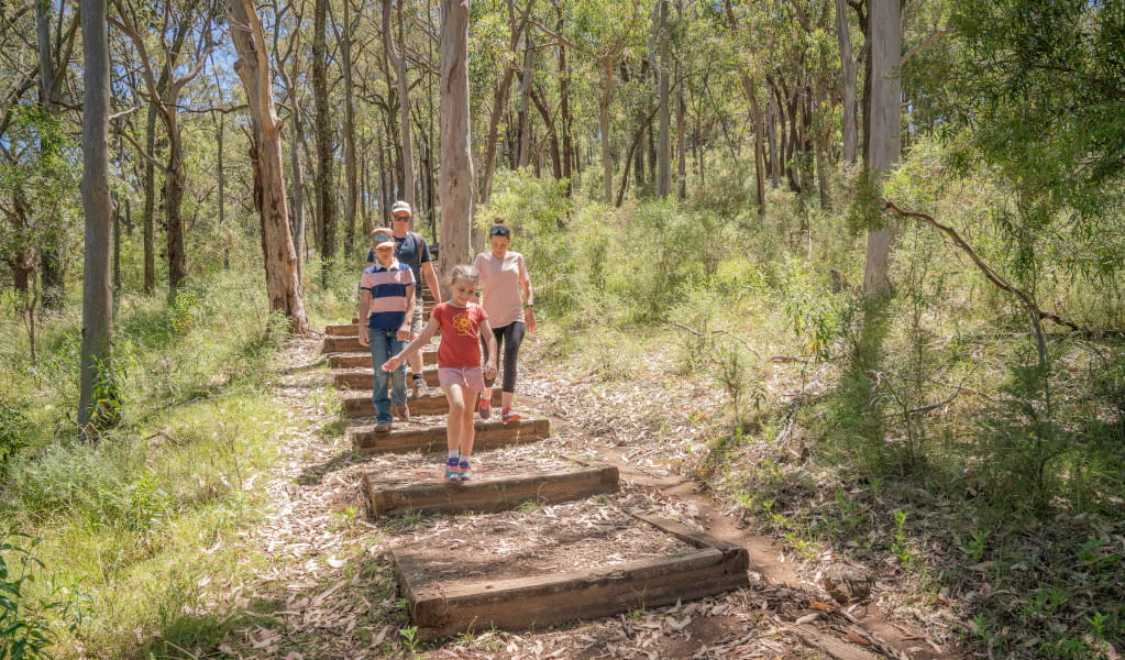 Burning Mountain walk, Burning Mountain Nature Reserve. Photo: R Wilcher/NSW Government